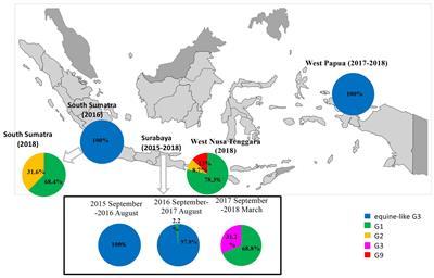 Frontiers | Prevalence And Distribution Of Rotavirus Genotypes Among ...